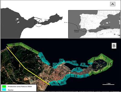 When the population of an endangered marine mollusc (Patella ferruginea) increases almost three-fold in ten years. Reality or fiction?